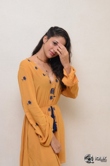 Lavanya-Tripathi-At-Srirastu-Subhamastu-Movie-Trailer-Launch